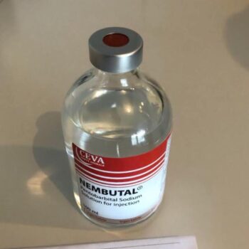 Nembutal Liquid Injection