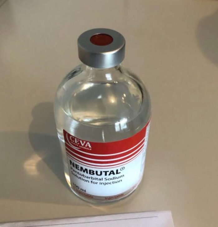 Nembutal Liquid Injection