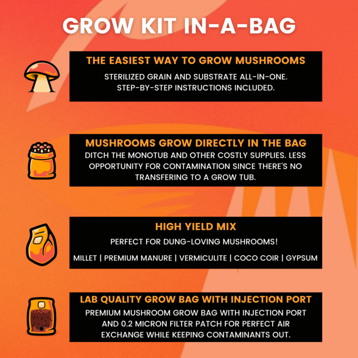 Mushroom Grow Kit - Image 2