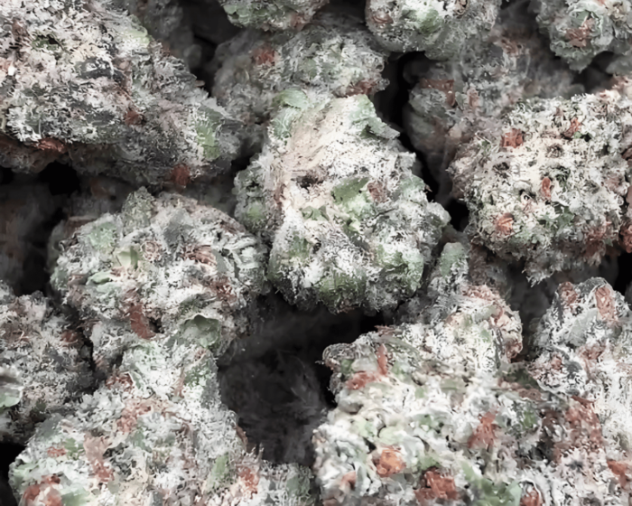 Exotic Flower: Oreoz Zkittles