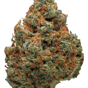 Durban Poison Strain