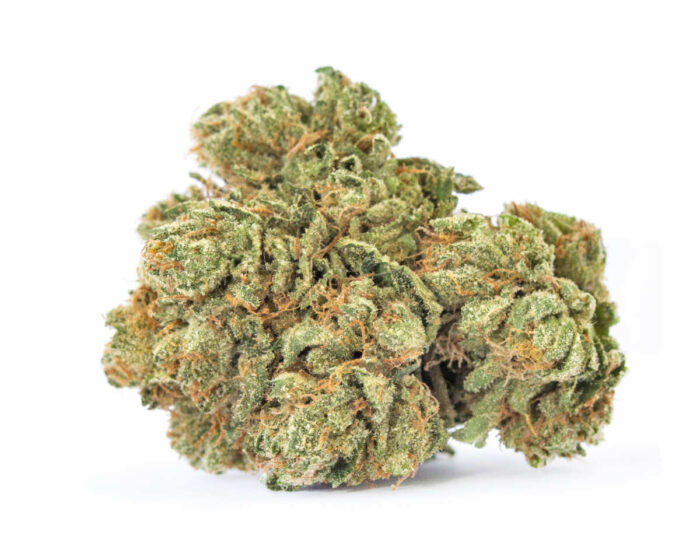 Maui Wowie strain