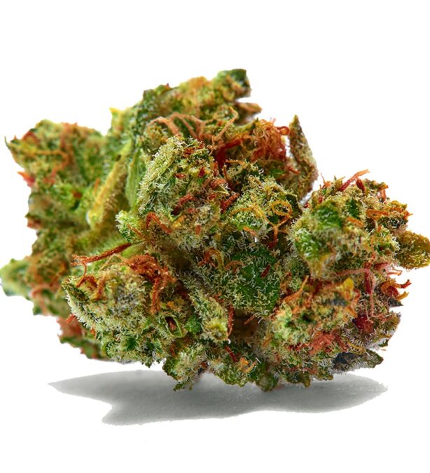 Fryd Weed Strains