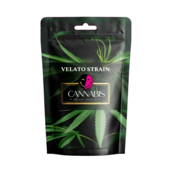 VELATO STRAIN